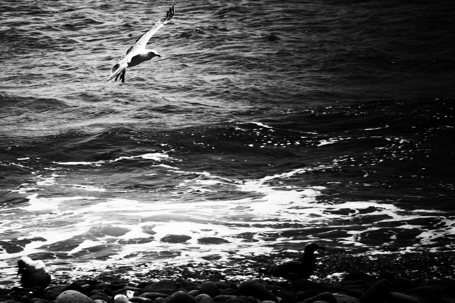 IMG_3464-Modifier